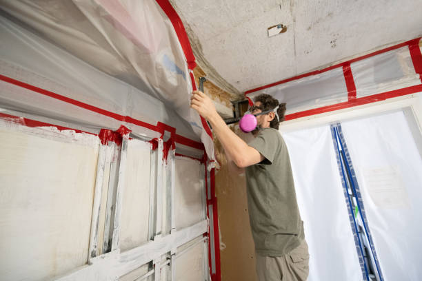 Best Mold Prevention Services  in Kean University, NJ