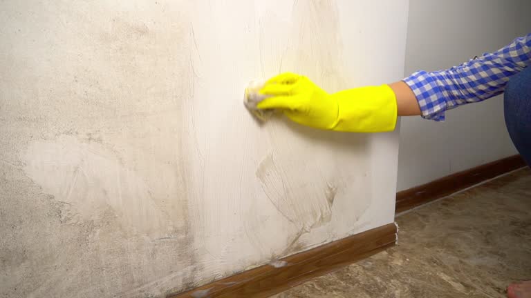 Best HVAC Mold Inspection and Cleaning  in Kean University, NJ