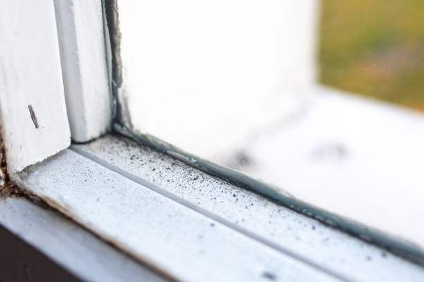 Best Biohazard Mold Removal  in Kean University, NJ
