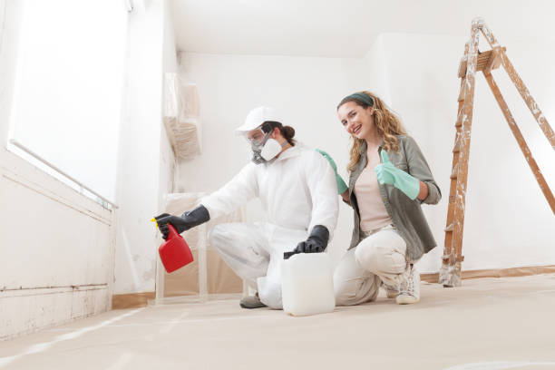 Best Residential Mold Inspection & Testing  in Kean University, NJ