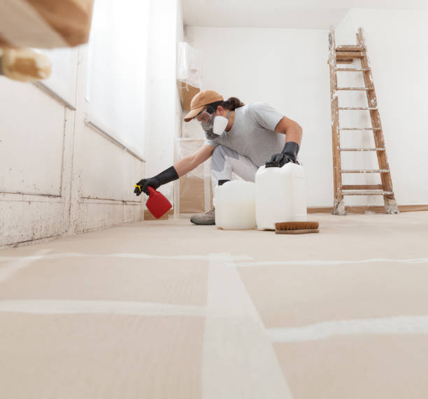 Best Crawl Space Mold Remediation  in Kean University, NJ